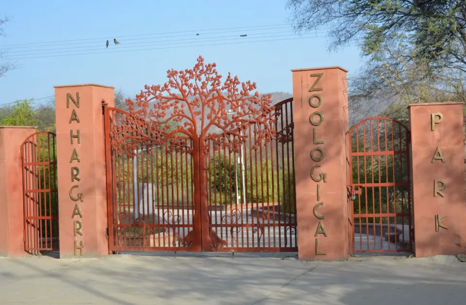 Nahargarh Biological Park Jaipur – Wildlife & Nature Near Nahargarh Fort