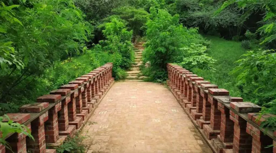 Smriti Van Jaipur – A Peaceful Nature Park For Calm And Relaxation