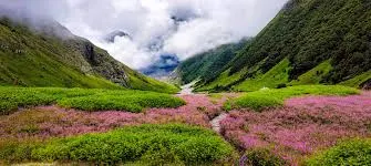Trekking The Valley Of Flowers In Uttarakhand